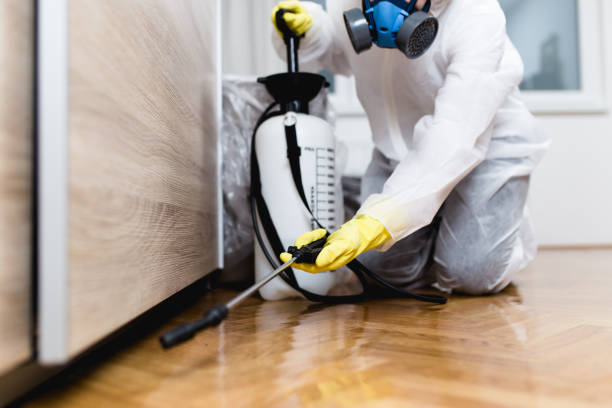 Best Termite Control Services  in Kemp Mill, MD