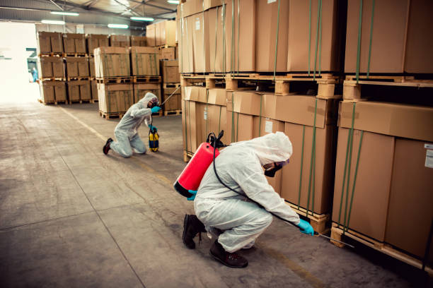 Trusted Kemp Mill, MD Pest Control Experts