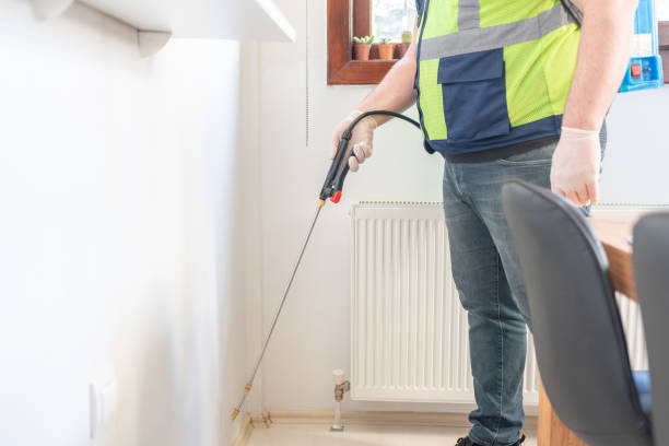 Best Wasp Removal Services  in Kemp Mill, MD