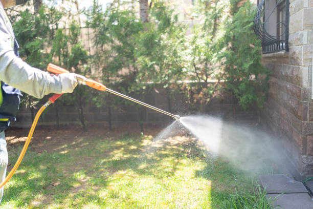 Best Best Pest Control Companies  in Kemp Mill, MD