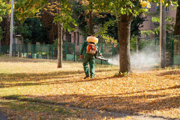 Best Flea Control Services  in Kemp Mill, MD